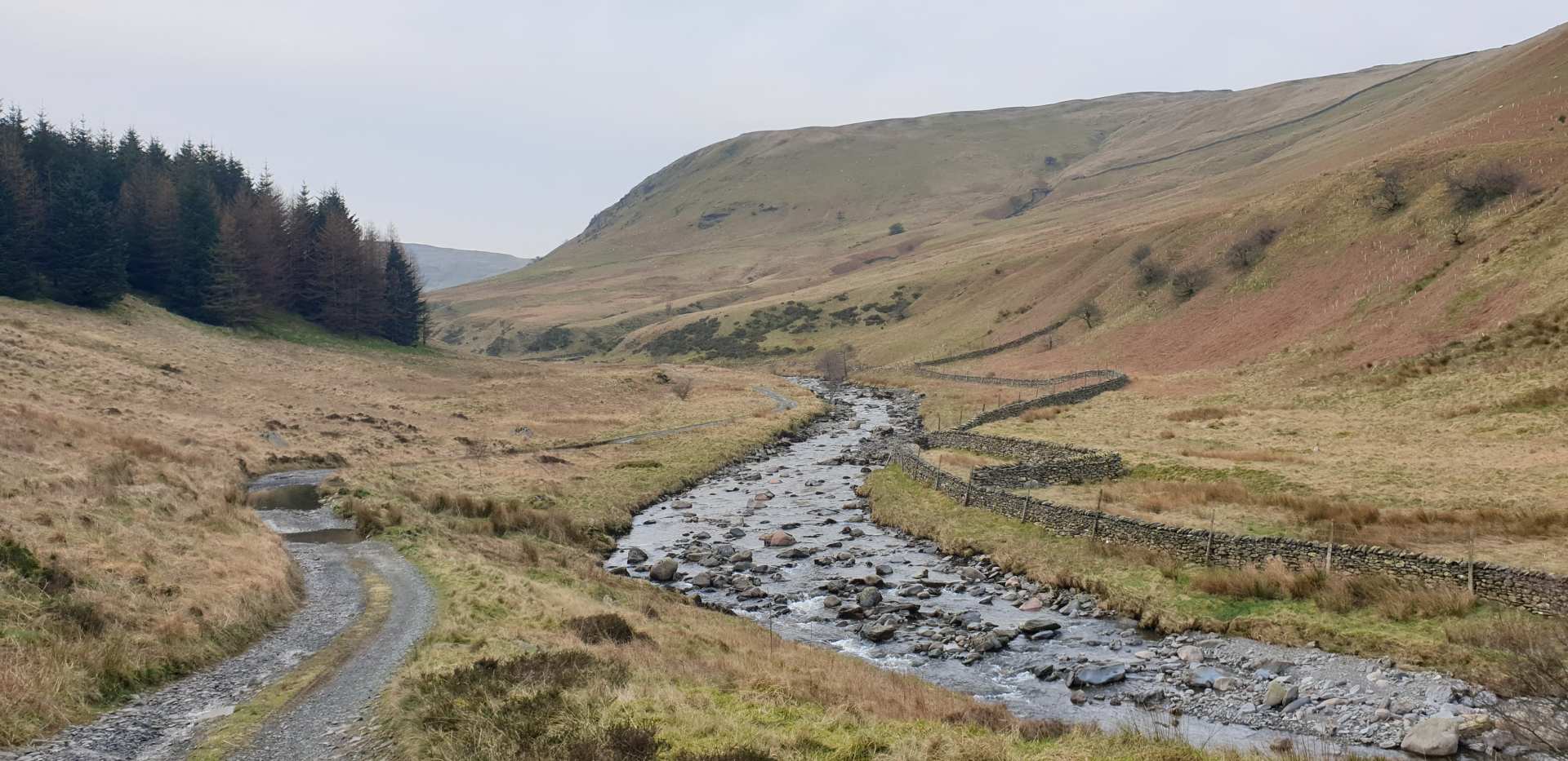 Borrowdale Kendal.jpg